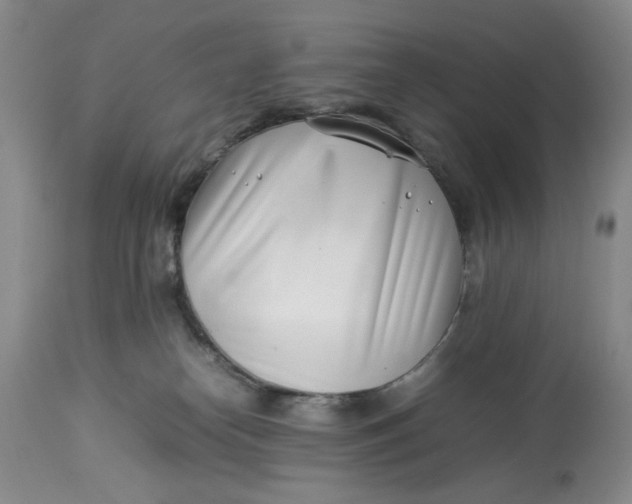 X0000114010182200910231823