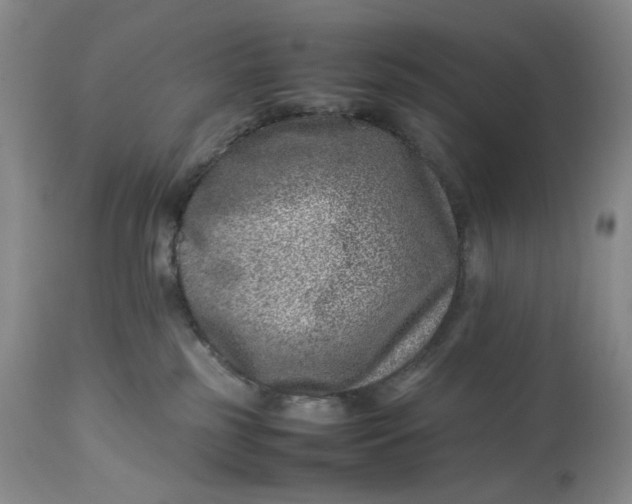 X0000114010185200910231823