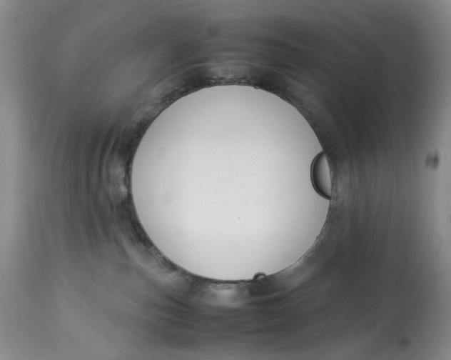 X0000114010187200910231823