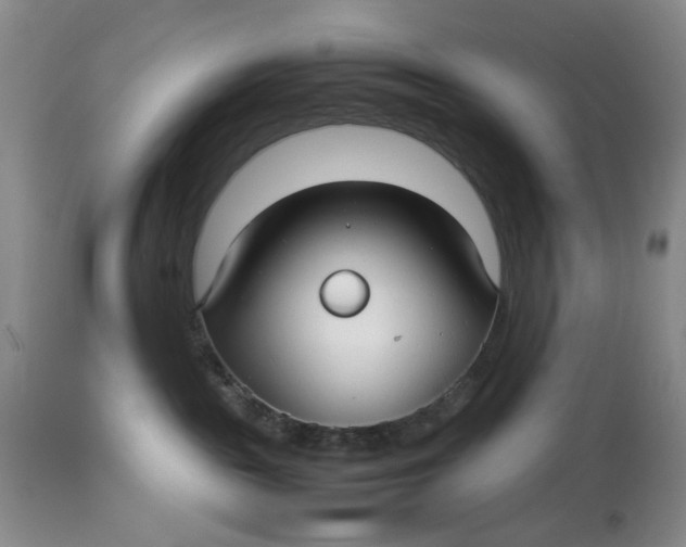 X0000114010189200910231823