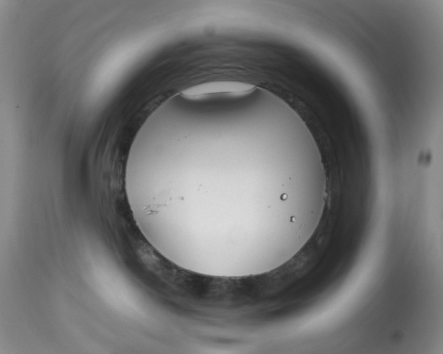 X0000114010190200910231823