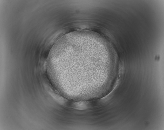 X0000114010191200910231823