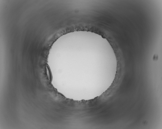 X0000114010192200910231823