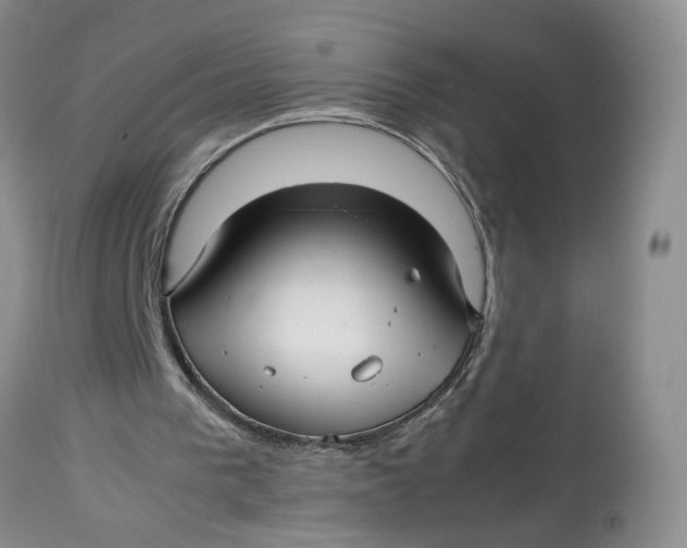 X0000114010193200910231822