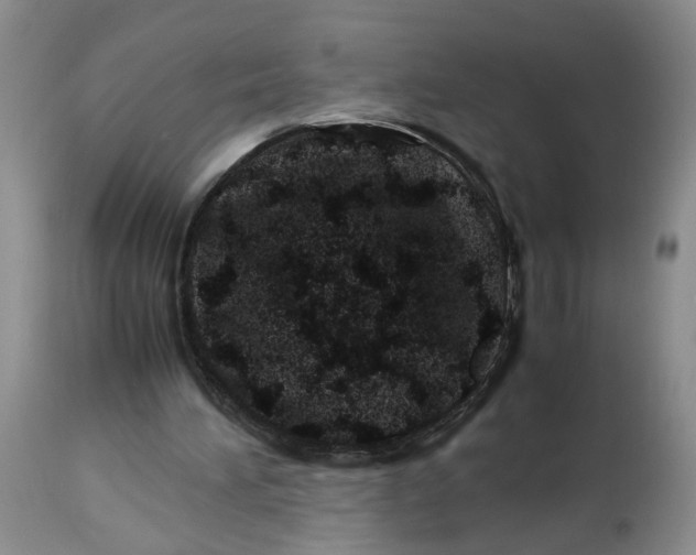 X0000114010196200910231822