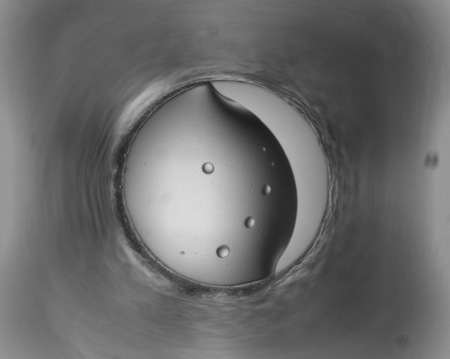 X0000114010197200910231822