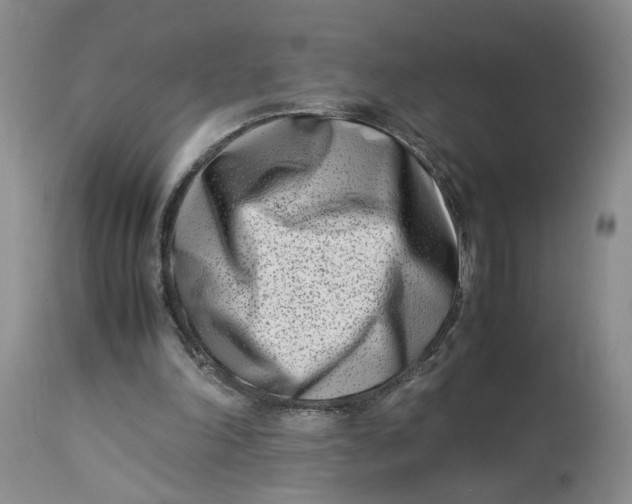 X0000114010198200910231822