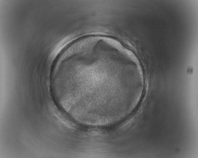 X0000114010199200910231822