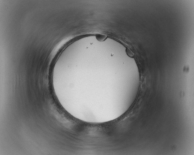 X0000114010200200910231822