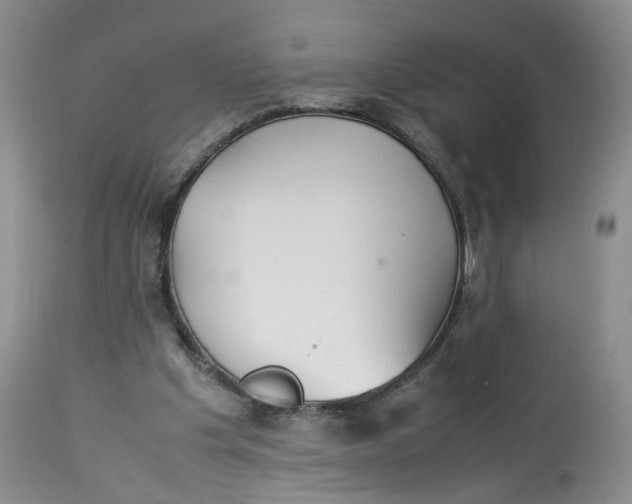 X0000114010201200910231822