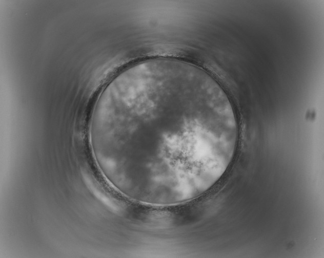 X0000114010203200910231822