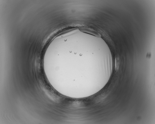 X0000114010204200910231822