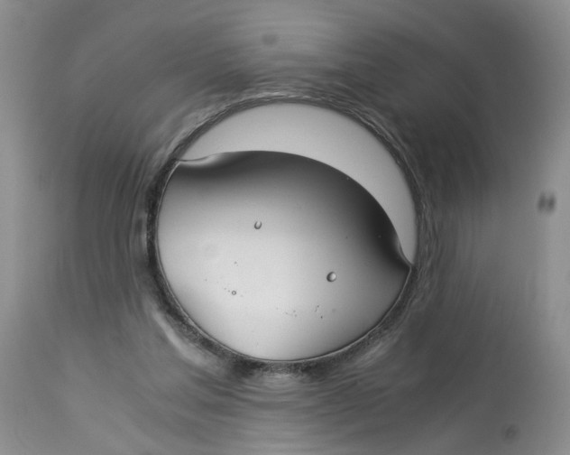 X0000114010205200910231822