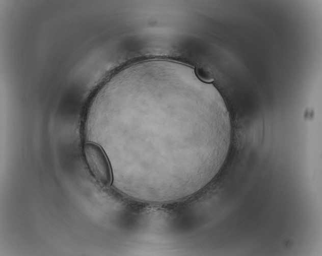 X0000114010207200910231822