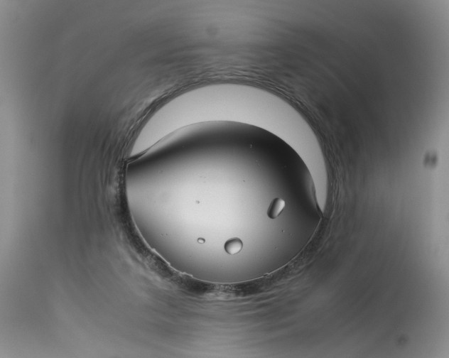 X0000114010211200910231822