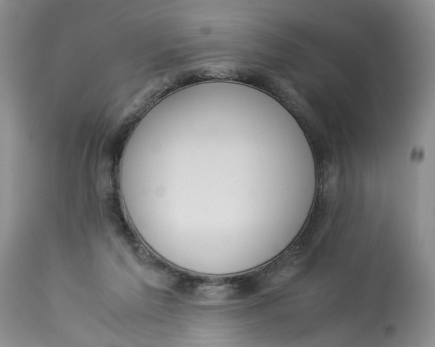 X0000114010213200910231822