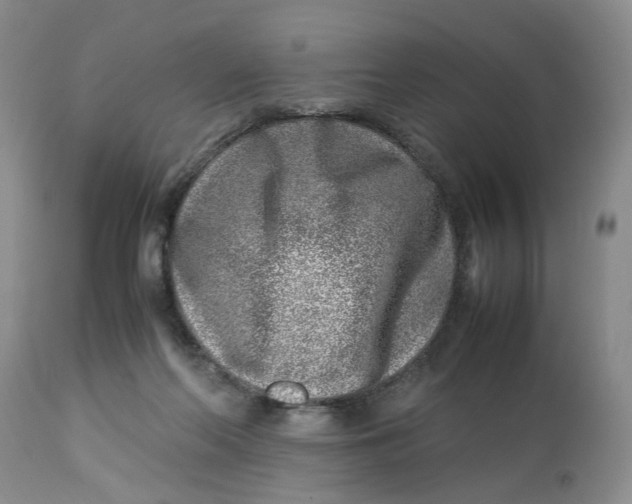 X0000114010214200910231822