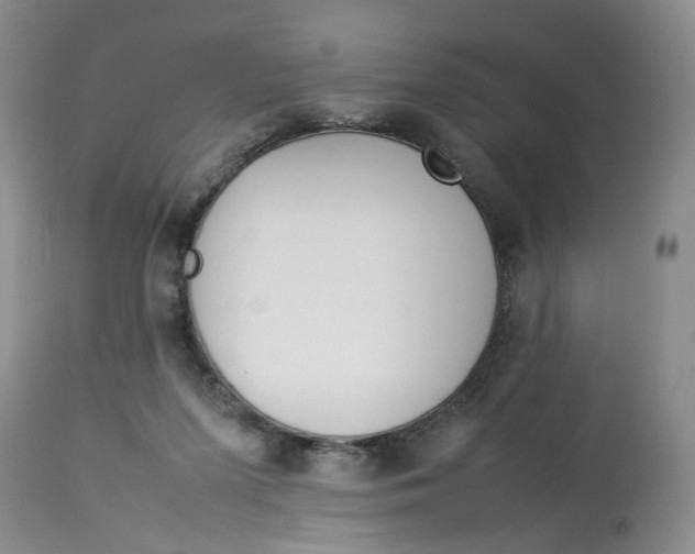 X0000114010215200910231822