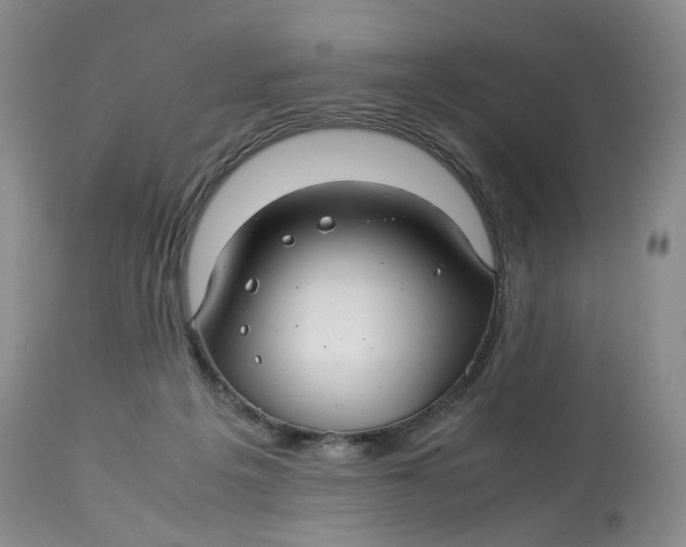 X0000114010217200910231822