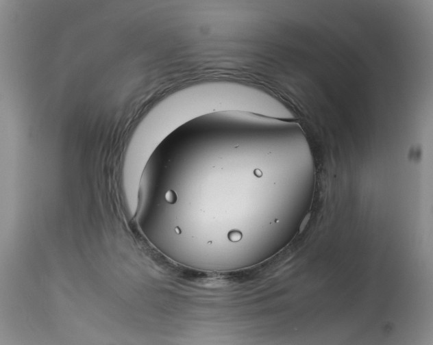 X0000114010219200910231822