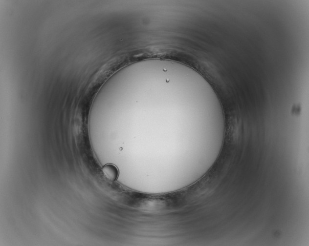 X0000114010220200910231822