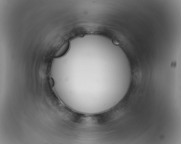 X0000114010221200910231822