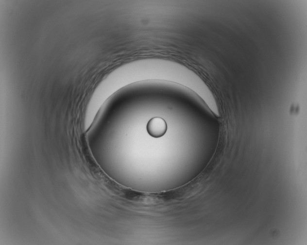 X0000114010223200910231822