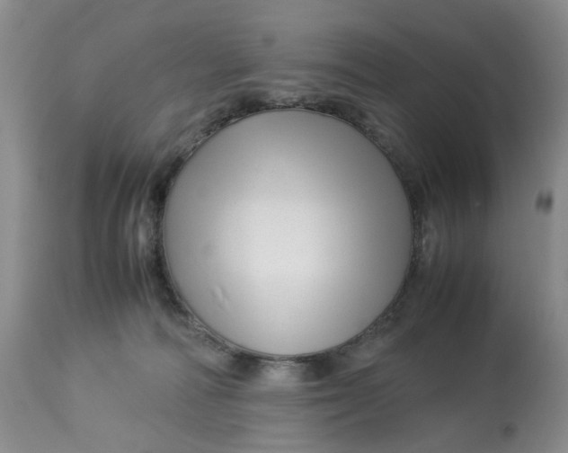 X0000114010226200910231822