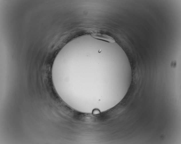 X0000114010229200910231822