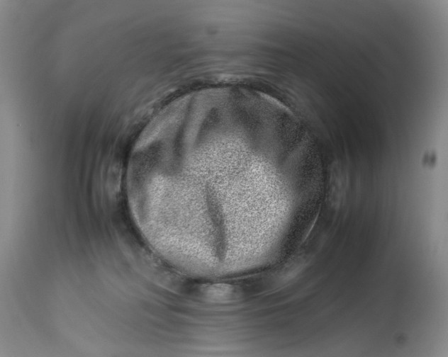 X0000114010230200910231822