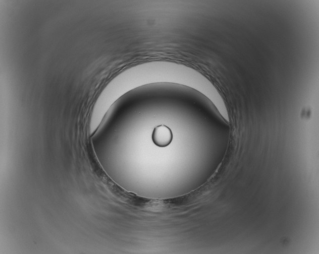 X0000114010231200910231822