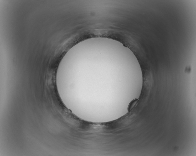 X0000114010233200910231822