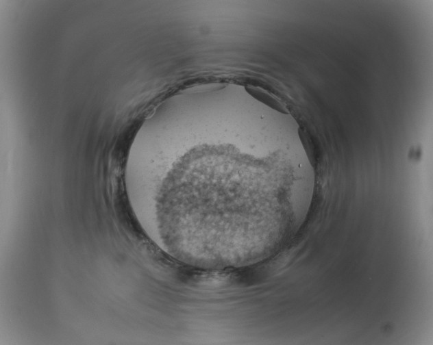 X0000114010235200910231822