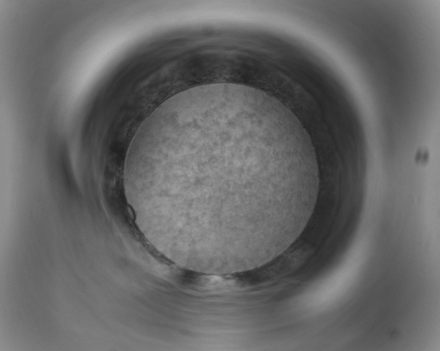 X0000114010239200910231822