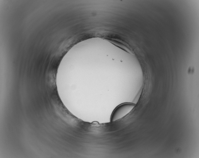 X0000114010240200910231822