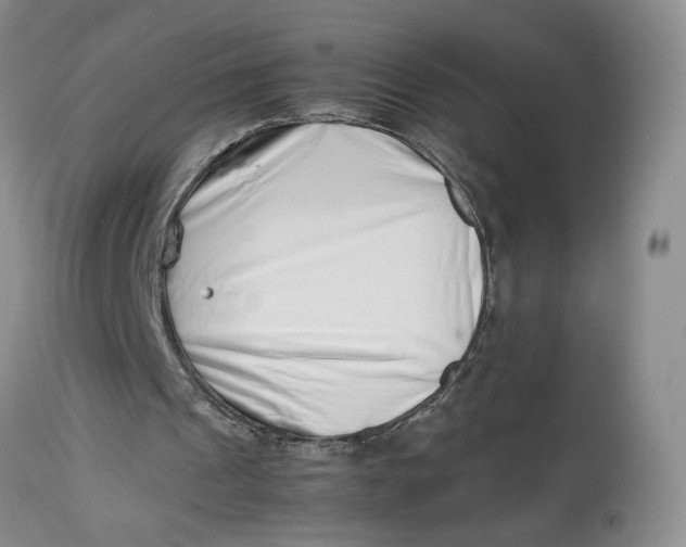 X0000114010241200910231821