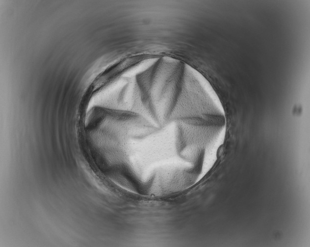 X0000114010242200910231821