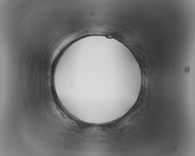 X0000114010244200910231821