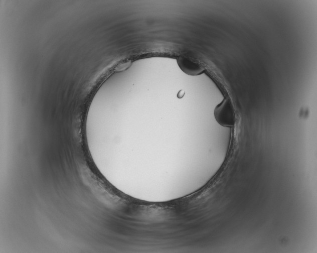 X0000114010249200910231821