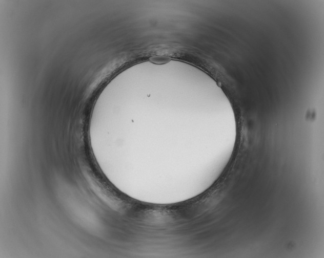 X0000114010250200910231821