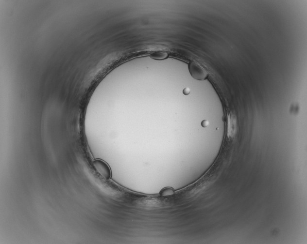 X0000114010253200910231821