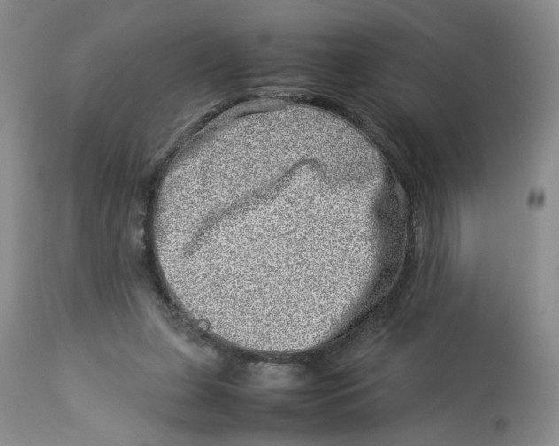 X0000114010255200910231821