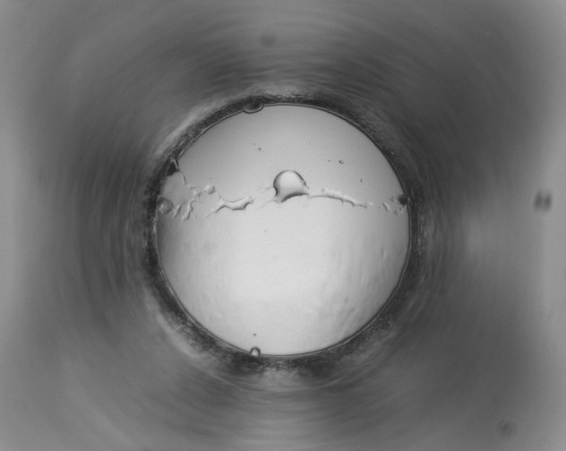 X0000114010256200910231821