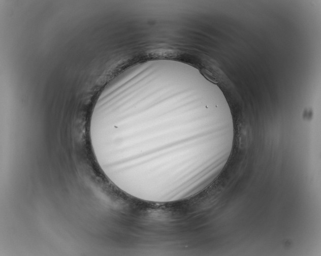 X0000114010259200910231821