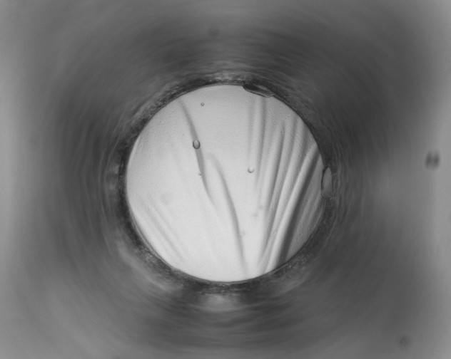 X0000114010263200910231821