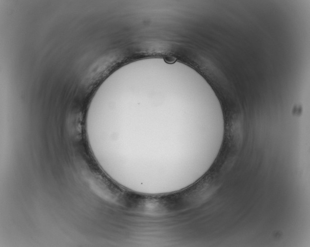 X0000114010264200910231821