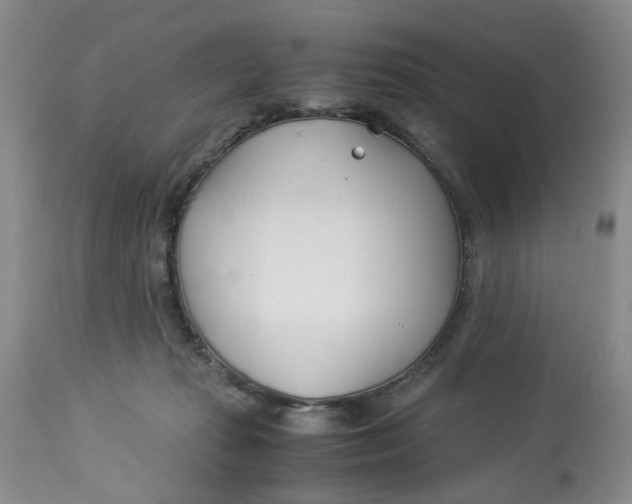 X0000114010269200910231821