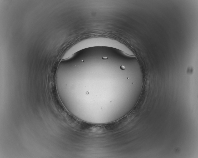 X0000114010272200910231821