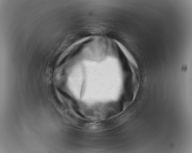 X0000114010273200910231821