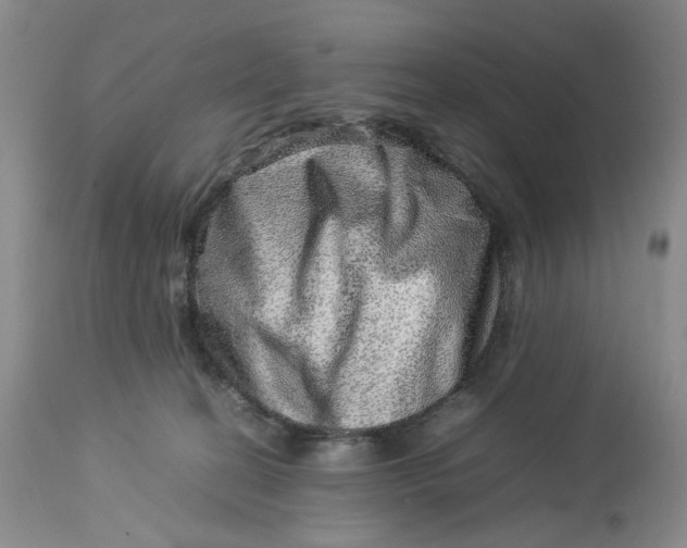 X0000114010274200910231821